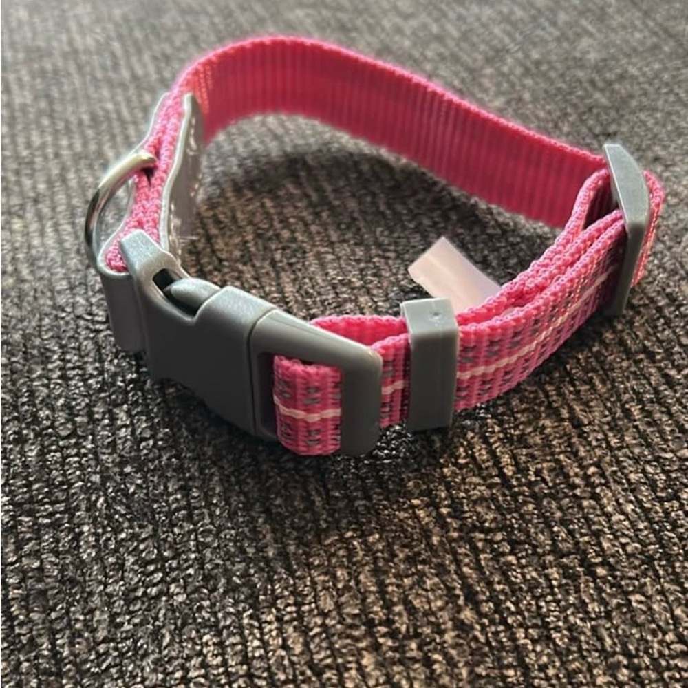 XS dog items